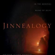 Jinnealogy: Time, Islam, and Ecological Thought in the Medieval Ruins of Delhi