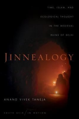 Jinnealogy: Time, Islam, and Ecological Thought in the Medieval Ruins of Delhi foto