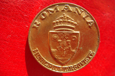 INSIGNA BRONZ ROMANIA MUNICIPIUL TARGOVISTE STEMA foto