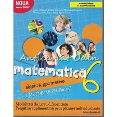 Matematica. Algebra, Geometrie. Caiet De Lucru. Clasa a VI-a - Sorin Peligrad