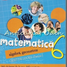 Matematica. Algebra, Geometrie. Caiet De Lucru. Clasa a VI-a - Sorin Peligrad