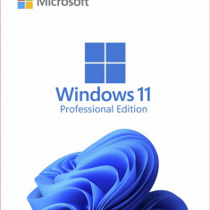 Licenta Microsoft Windows 11 Professional Retail