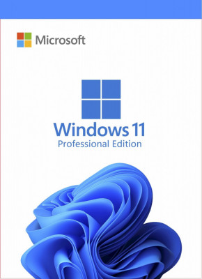 Licenta Microsoft Windows 11 Professional Retail foto