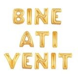 Set baloane folie Bine Ati Venit auriu
