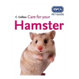 Care for Your Hamster