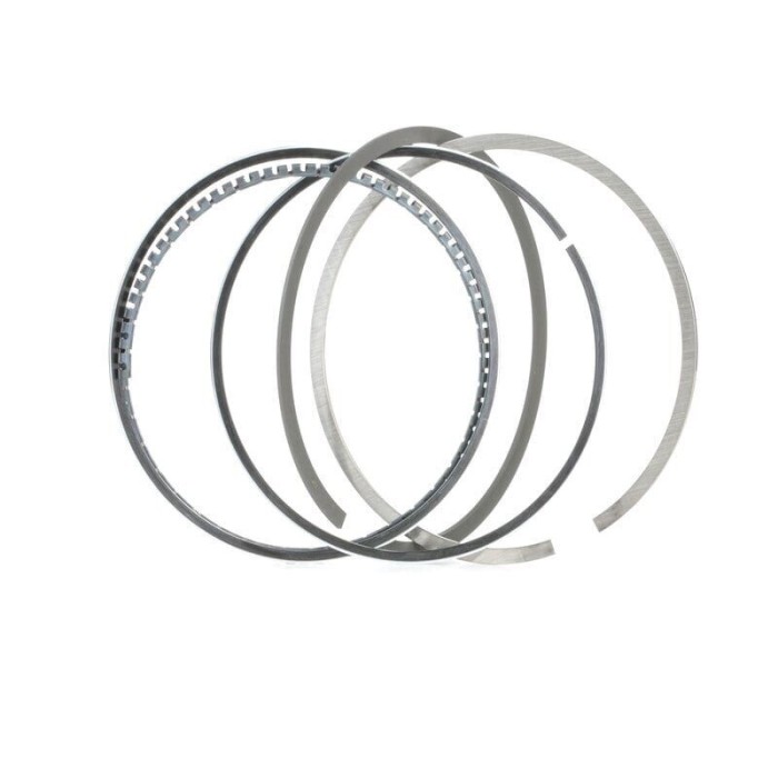 Set segmenti Goteze Renault