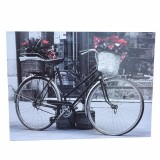 Tablou decorativ Pufo Bicycle, 30 x 40 cm