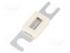Siguranţă LITTELFUSE 100A 48VDC auto cu bandă