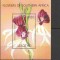 LESOTHO 2000 FLORI