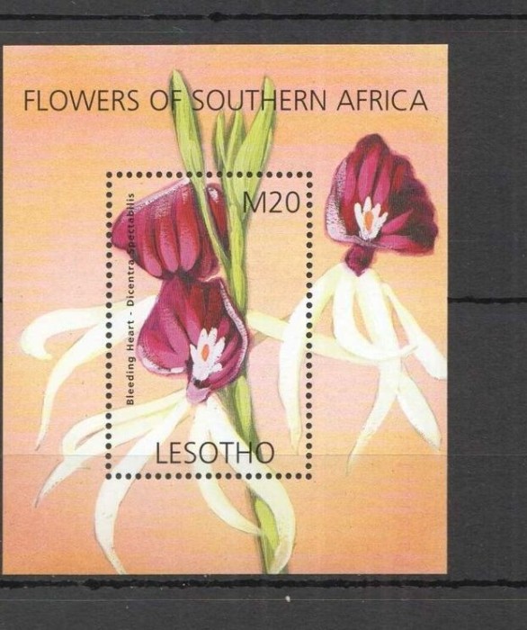 LESOTHO 2000 FLORI