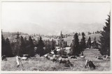 bnk cp Pe Dealul Sasului - Vedere - uzata