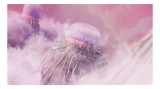 Tablou Canvas Vapori Roz și Vise Nebuloase Art decorativ, 39 x 26 cm, CMCLASS