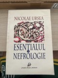 Esentialul in nefrologie