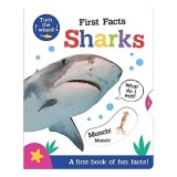 First Facts Sharks