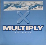 Vinil Carol Bailey - Feel It (LP, 1995, Multiply Records) MK Remix, Aquarius, Alex Party - Folk/Pop/Rock, 30cm