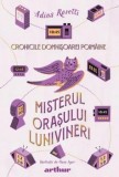 Misterul orasului Lunivineri. Seria Cronicile Domnisoarei Poimaine. Volumul 3/Adina Rosetti