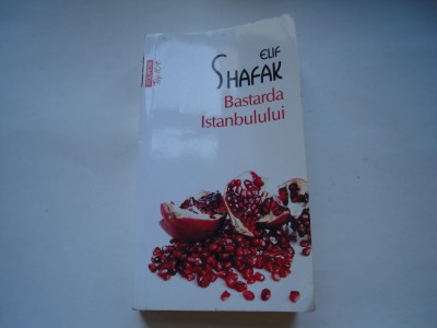 Bastarda Istanbulului - Elif Shafak foto