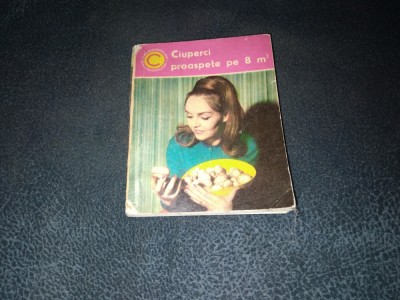 ZOE BERATLIEF - CIUPERCI PROASPPETE PE 8 M2 foto