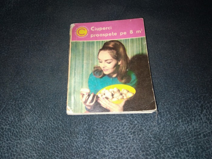 ZOE BERATLIEF - CIUPERCI PROASPPETE PE 8 M2