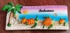 D3 - Magnet frigider - Tematica turism - Bahamas 1