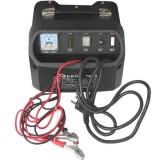 Redresor baterii auto 12V/24V 18Amp, Geko