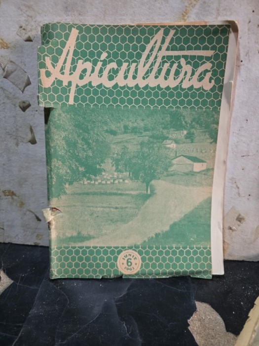 Apicultura nr.6/1961