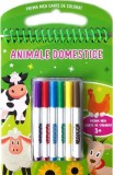 Animale domestice 3 ani+. Cu carioci