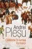 Calatorie In Lumea Formelor, Andrei Plesu - Editura Humanitas