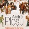 Calatorie In Lumea Formelor, Andrei Plesu - Editura Humanitas
