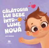 Calatoria lui bebe intr-o lume noua - Omid Ghannadi, Creator