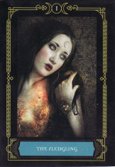 Wisdom of the House of Night - Carti ORACOL/TAROT, ed lux (ARGINTII) ORIGINALE+CARTE foto