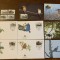 micronesia - pasari - serie 4 timbre MNH, 4 FDC, 4 maxime, fauna wwf