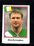 B10 - Sticker fotbal - Campionatul mondial USA - 1994 - nr 310