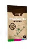 Ingrasamant natural Easy Roots Rhizobacter , marca Royal Queen Seeds