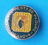 Insigna Intreprinderea Miniera FILIPESTII de PADURE - Prahova