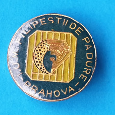 Insigna Intreprinderea Miniera FILIPESTII de PADURE - Prahova