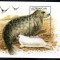 AZERBAIJAN 1997, Fauna, serie neuzata, MNH