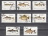 A12 S6 4 - Timbre foarte vechi - Oman - pesti, Fauna, Stampilat