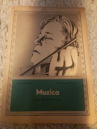 Muzica * manual pentru anii 1-2 liceu * foto