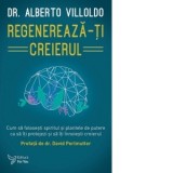 Regenereaza-ti creierul. Cum sa folosesti spiritul si plantele de putere ca sa iti protejezi si sa iti innoiesti creierul - Alberto Villoldo