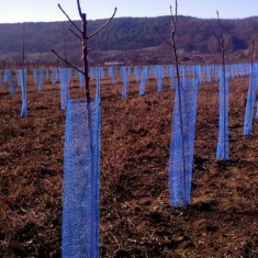 Plasa protectie pomisori 10 cm- albastra