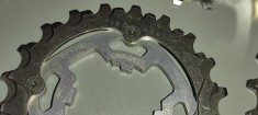19 PINIOANE NOI NEFOLOSITE - pt biciclete - campagnolo gama titanium -