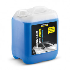 Agent De Curatare Cu Spumare. 10L - Karcher 148604 6.295-671.0