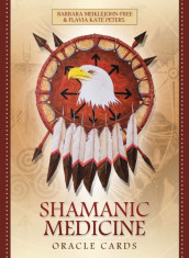 Shamanic Medicine Oracle Cards foto