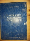 Castrarea animalelor domestice- Anatol Grintescu