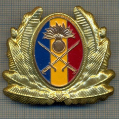 Y 1572 INSIGNA-MILITARA-EMBLEMA COIFURA- TRUPELE DE USCAT -PENTRU COLECTIONARI