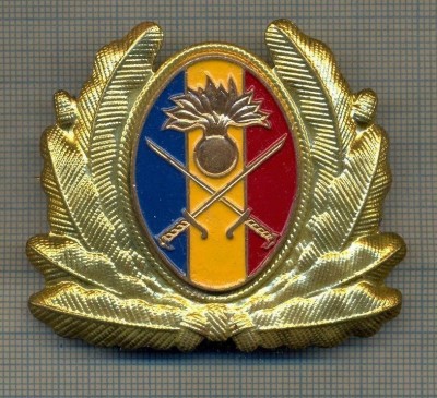 Y 1572 INSIGNA-MILITARA-EMBLEMA COIFURA- TRUPELE DE USCAT -PENTRU COLECTIONARI foto