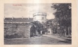 Timisoara / Hunyadi kastely (necirculata)