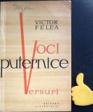 Voci puternice Victor Felea