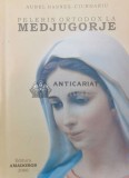 Cumpara ieftin Pelerin ortodox la Medjugorje - Aurel Hasnes Ciurdariu ($P67)